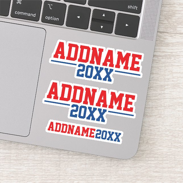 Custom Campaign - Classic Red Blue with Year Sticker (Detail)