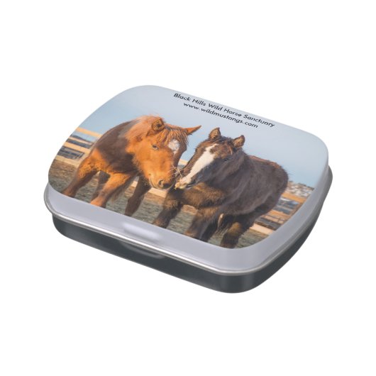 Custom Candy Tin with Mints - Foals (Side)