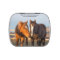 Custom Candy Tin with Mints - Foals