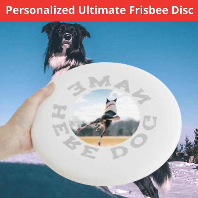 Custom Canine Dog Photography & Name Wham-O Frisbee (Creator Uploaded)