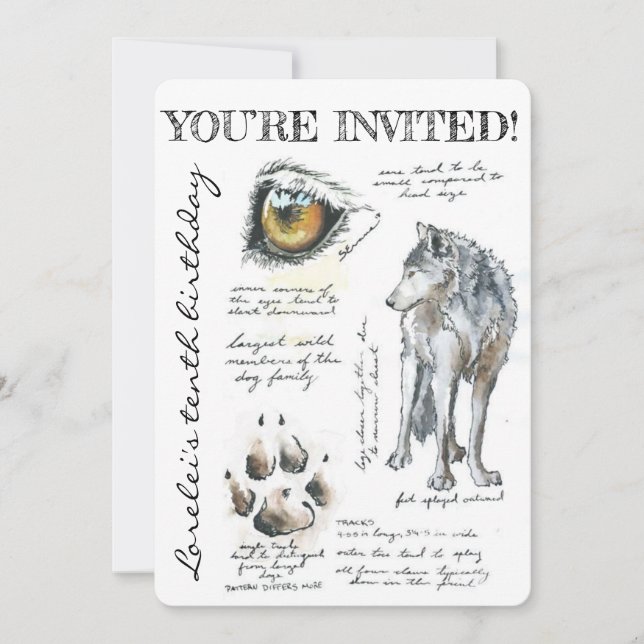 Custom Canis Lupus Wolf Illustration Invitation (Front)
