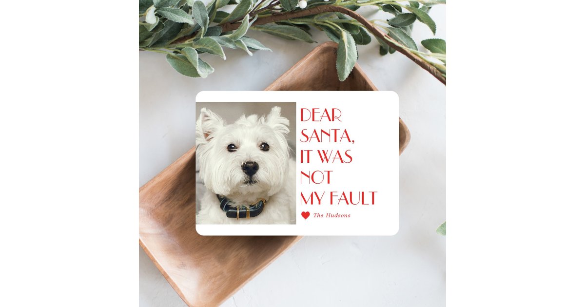 Custom Caption Card Custom Caption Editable Color Modern Holiday Card | Zazzle