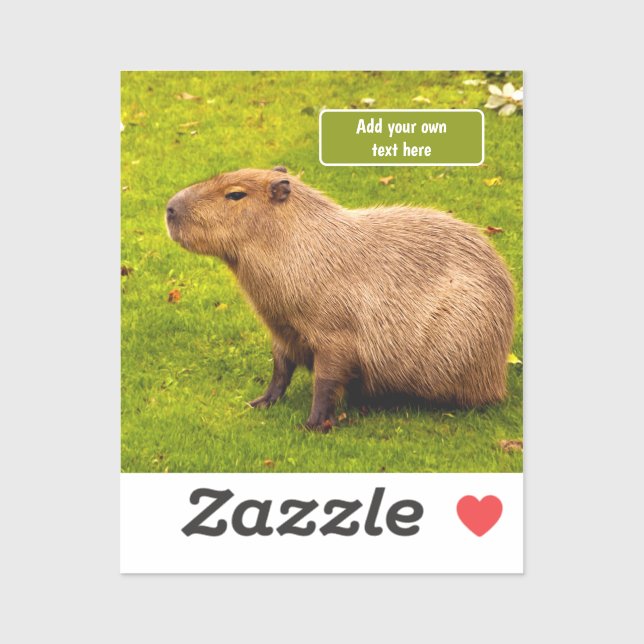 Custom Capybara Sticker (Sheet)