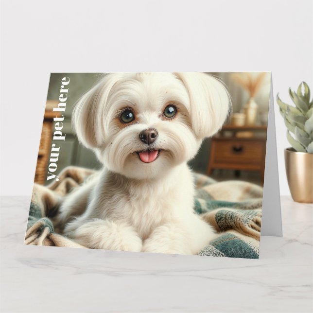 Custom Card (Small Plant)