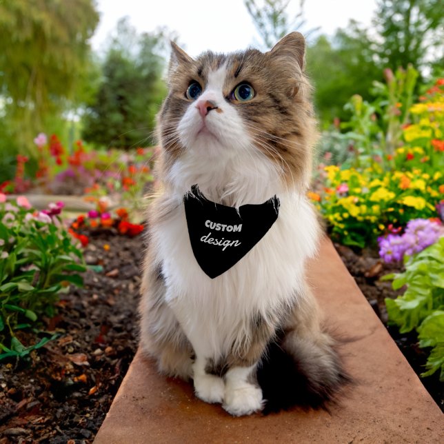 Custom Cat Bandana Collar - Personalized Pet Style (Cat)