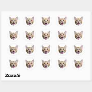 Custom Cat Face Stickers Personalized Face Photo