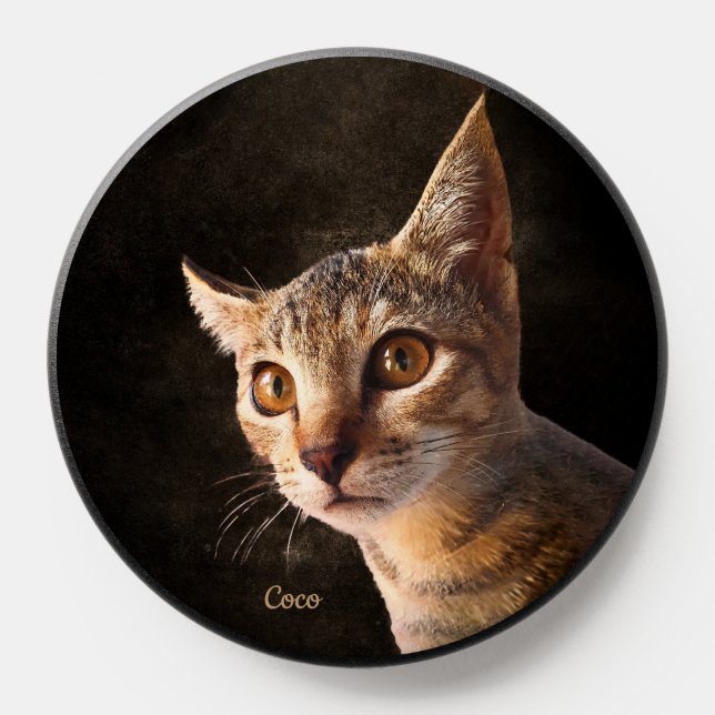 Custom Cat Pet or Dog Photo Template PopSocket (Popsocket)