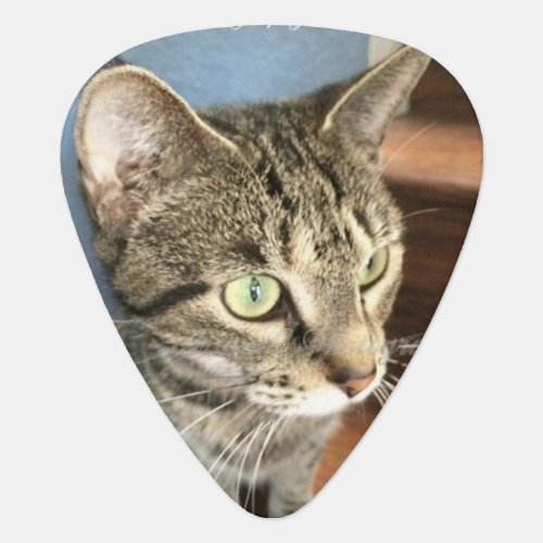 Custom cat photo acetal guitar pick