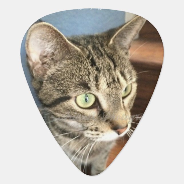Custom cat photo acetal guitar pick (Front)