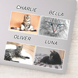 Custom Cat Photo and Cat Name Personalized Pet Sticker