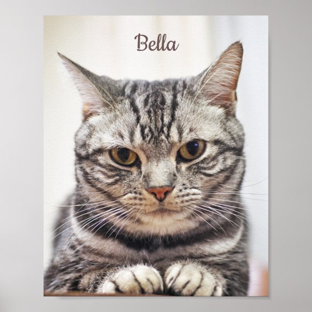 Custom Cat Photo And Name Poster (Front)