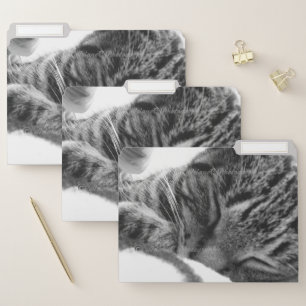 Custom cat photo animal shelter file folders