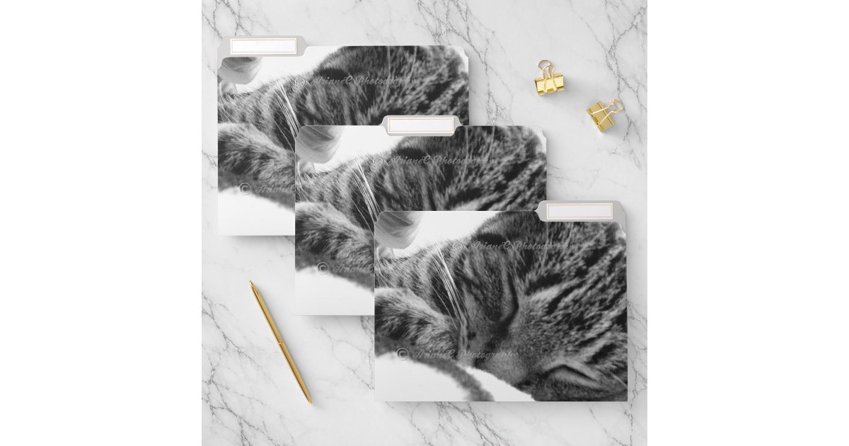 Custom cat photo animal shelter file folders | Zazzle
