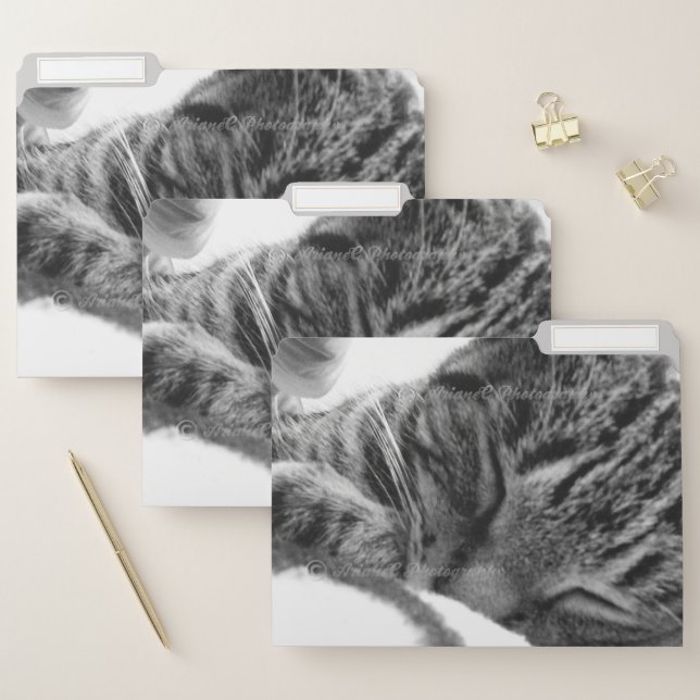 Custom cat photo animal shelter file folders (Set)