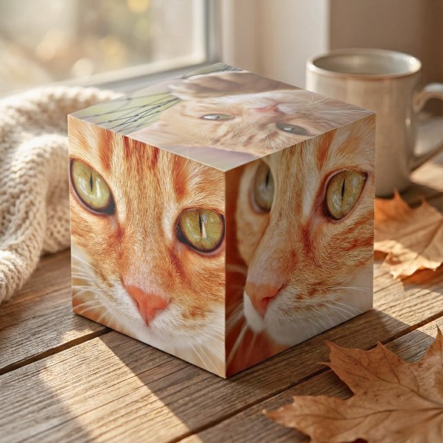 Custom Cat Photo Cube (Custom Cat Photo Cube)