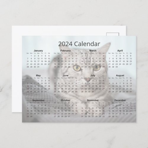 Custom Cat Photo Cute 2024 Monthly Calendar Postcard