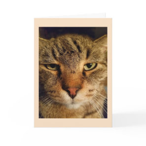 Custom Cat Photo Miss You Card