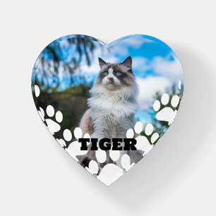 Custom Cat Photo Paperweight with Name