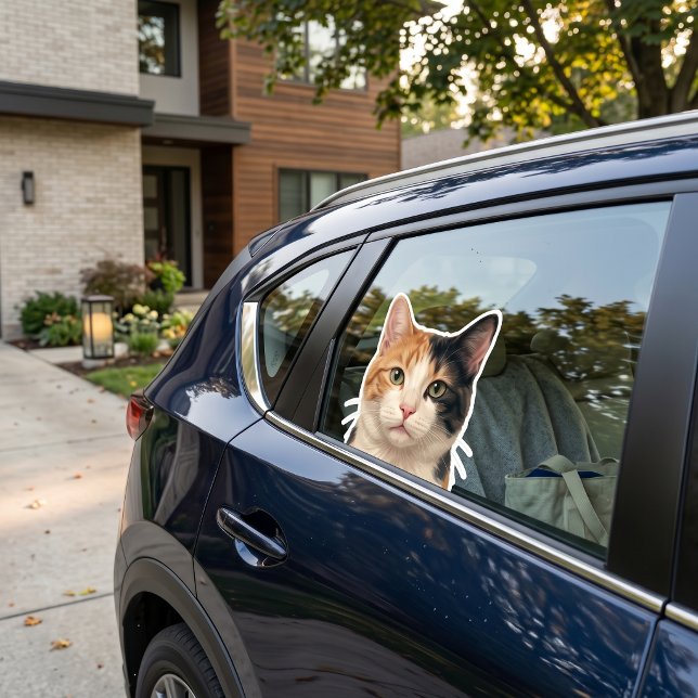 Custom Cat Photo Sticker – Personalized Cat Decal  (Creator Uploaded)