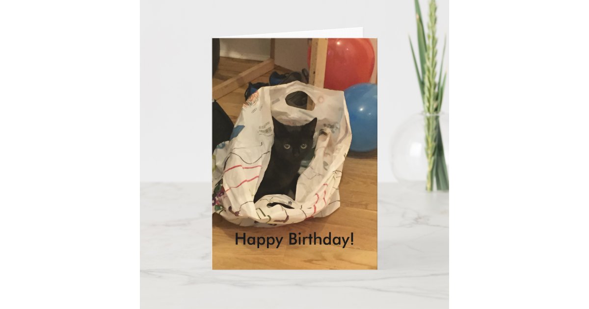 Custom Cat Picture Birthday Card | Zazzle