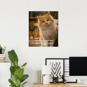 Custom Cat Portrait Poster - Digital Pet Art Print