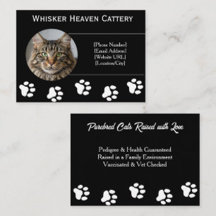Custom Cattery Business Card 
