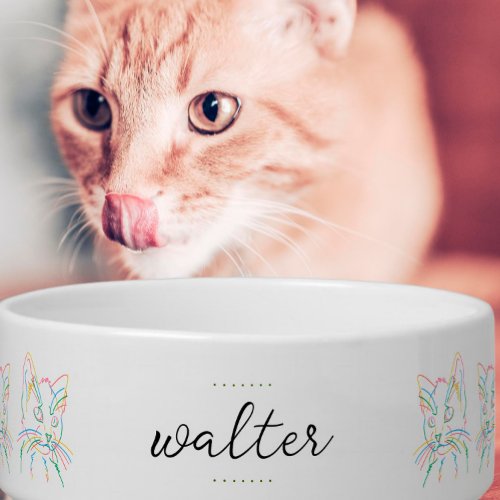 Custom Ceramic Pet Bowl _ Colorful Cat Profile