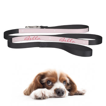 Custom Chic Pink White Stars Dog Puppy Doggy Name Pet Leash by iCoolCreate at Zazzle