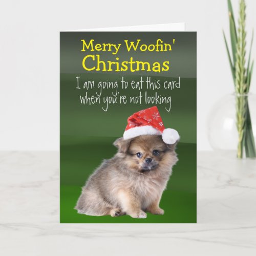 Custom Christmas Card from your Pomeranian