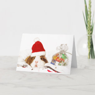 CUSTOM CHRISTMAS CARD GUINEE PIG WITH SANTA HAT