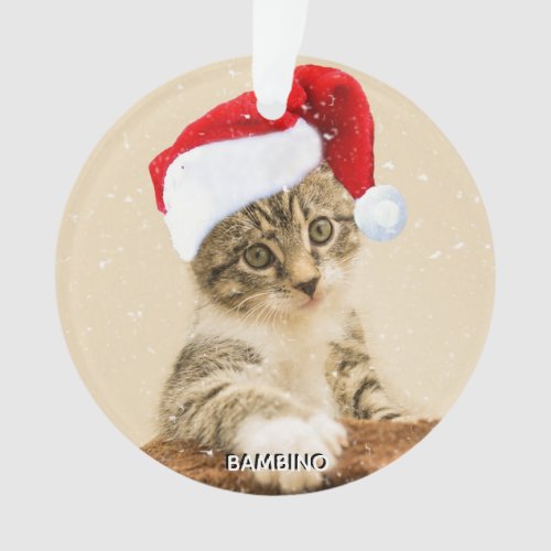Custom Christmas Carol Cat Photo Personalized Ornament