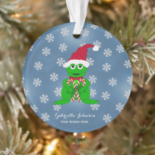 Custom Christmas Frog Ornament