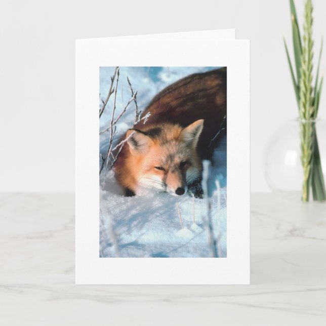 Custom Christmas Greeting Snow Fox Holiday Card (Front)