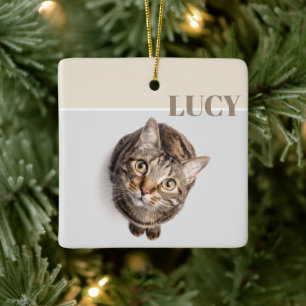 Custom Christmas Photo Ornament Cat & Name