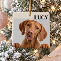 Custom Christmas Photo Ornament Dog & Name