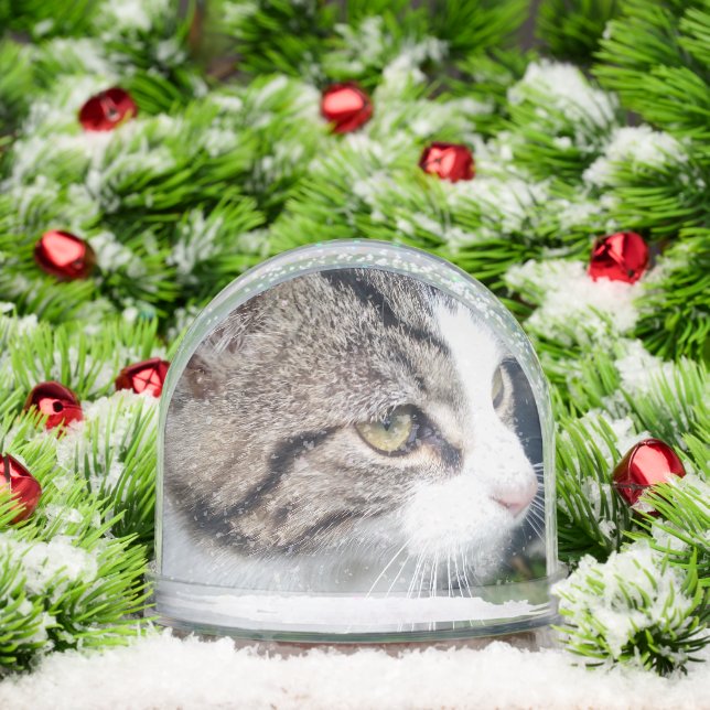 Custom Christmas snow globe with cute pet photo (Christmas)