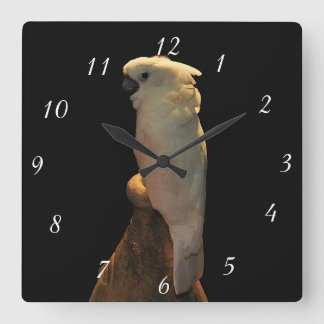 Custom cockatoo bird posing in the night square wall clock