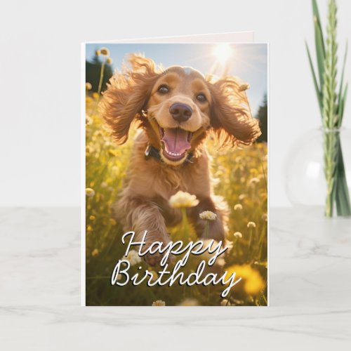 Custom Cocker Spaniel Birthday Card
