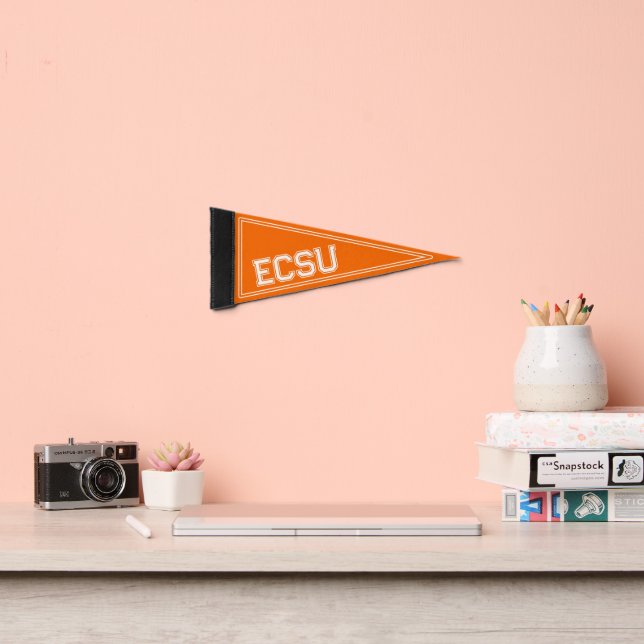 Custom College Orange Pennant Flag (Insitu 2)