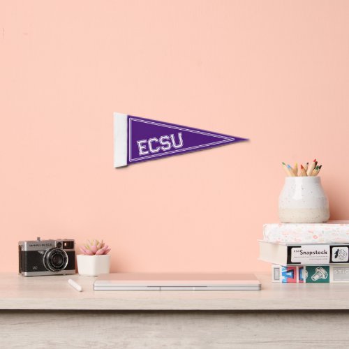 Custom College Purple Pennant Flag