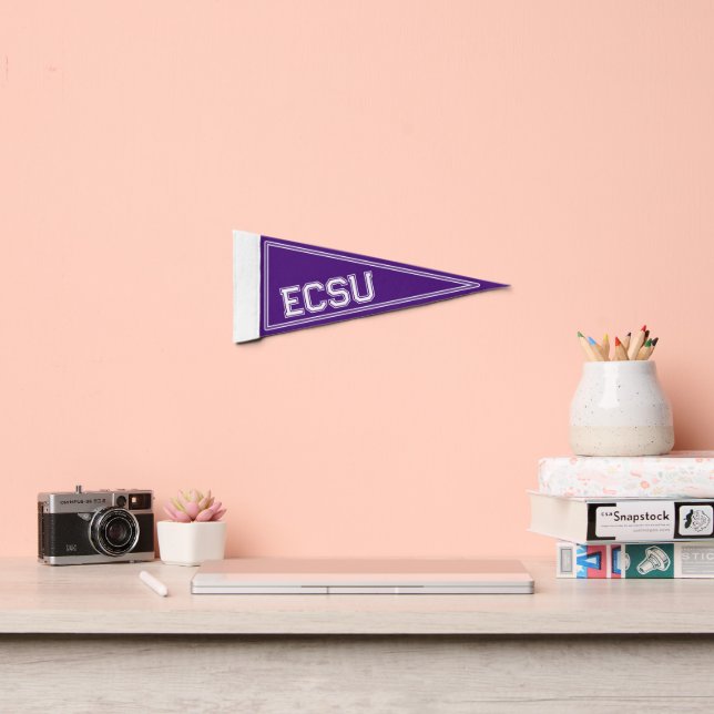 Custom College Purple Pennant Flag (Insitu 2)
