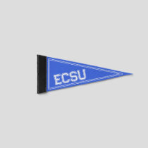 Custom College Royal Blue Pennant Flag