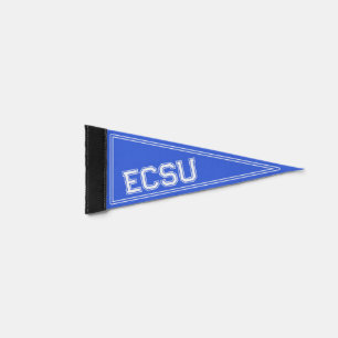 Custom College Royal Blue Pennant Flag