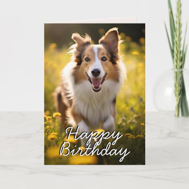 Custom Collie Happy Birthday Card (Front)
