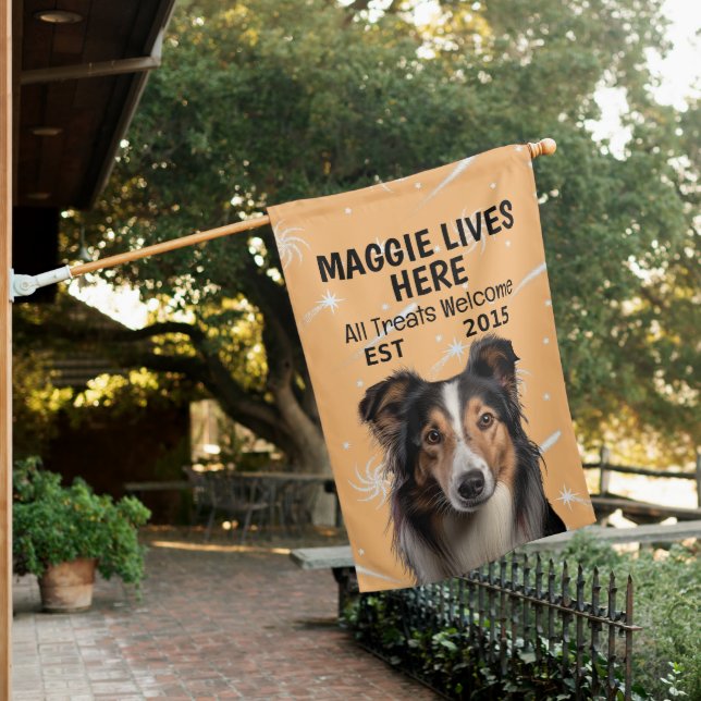 Custom Collie House Flag (In SItu)