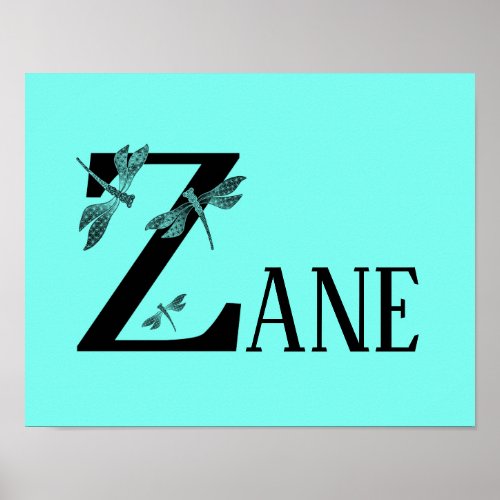 Custom Color Monogram Name Letter Z Dragonfly kids Poster