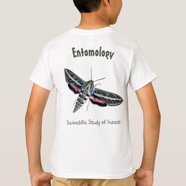 Custom Colorful Moth Pocket & Back Entomology T-Shirt (Back)