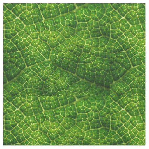 Custom Combed Cotton Fabric