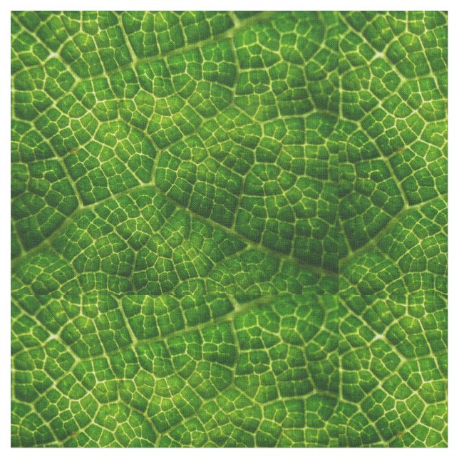 Custom Combed Cotton Fabric (Close Up)