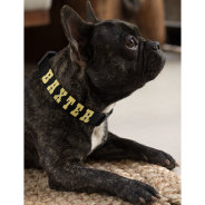 Custom Cool Black Gold Stars Dog Puppy Doggy Name Pet Collar at Zazzle